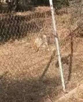 Land plot 517sqm for sale-Glyfada » Aigli