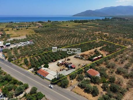 Land plot 10.500sqm for sale-North Kinouria » Astros