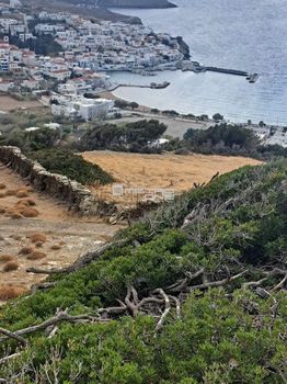 Αγροτεμάχια 5.970τ.μ. για πώληση-Άνδρος » Χώρα