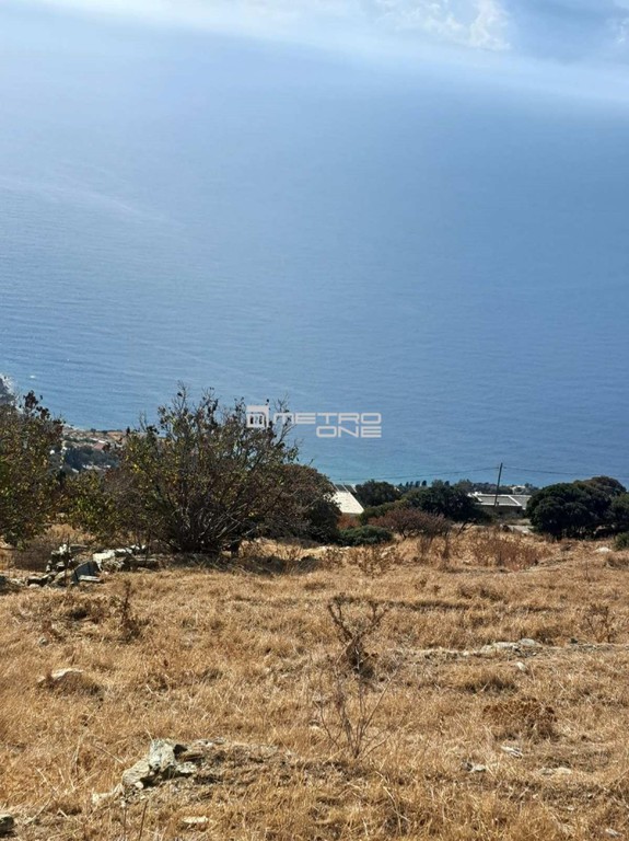 Αγροτεμάχια 4.589 τ.μ. προς πώληση, Χώρα Άνδρου