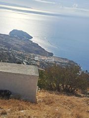 Αγροτεμάχια 4.589 τ.μ. για πώληση