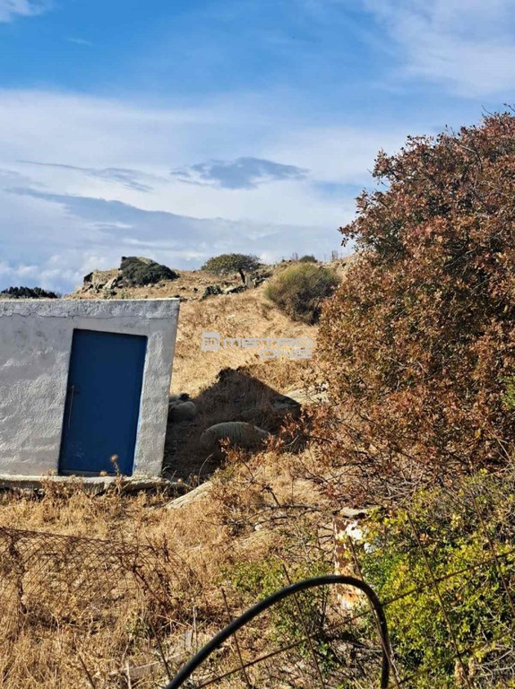 Αγροτεμάχια 4.589 τ.μ. προς πώληση, Χώρα Άνδρου