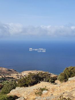 Αγροτεμάχια 5.000 τ.μ. για πώληση