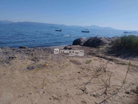 Land plot 12.500sqm for sale-Corfu » Lefkimmi