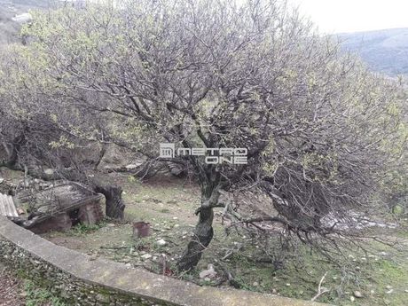 Μονοκατοικία 200 τ.μ. για πώληση