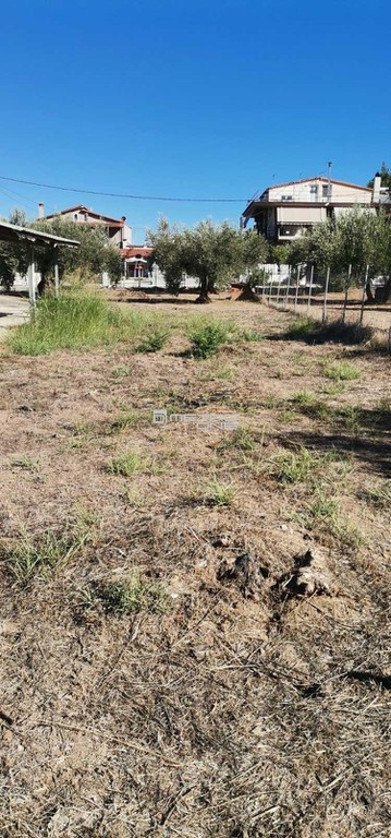 Οικόπεδο 927 τ.μ. προς πώληση, Κέντρο Ωρεών