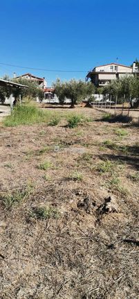 Οικόπεδο 927 τ.μ. για πώληση, Εύβοια, Ωρεοί