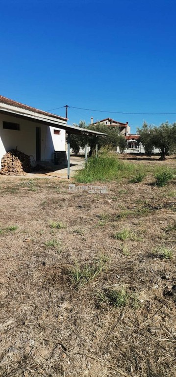 Οικόπεδο 927 τ.μ. προς πώληση, Κέντρο Ωρεών