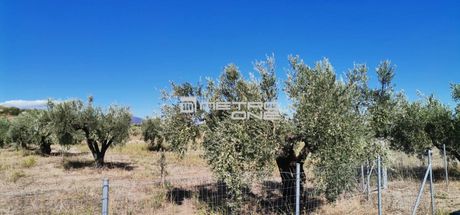 Parcel 2.800sqm for sale-Oreoi » Center