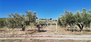 Αγροτεμάχια 2.800 τ.μ. προς πώληση, Κέντρο Ωρεών-thumb-7