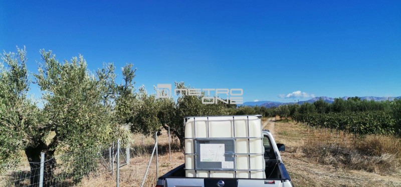 Αγροτεμάχια 2.800 τ.μ. προς πώληση, Κέντρο Ωρεών