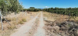 Αγροτεμάχια 2.800 τ.μ. προς πώληση, Κέντρο Ωρεών-thumb-6