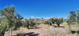 Αγροτεμάχια 2.800 τ.μ. προς πώληση, Κέντρο Ωρεών-thumb-9