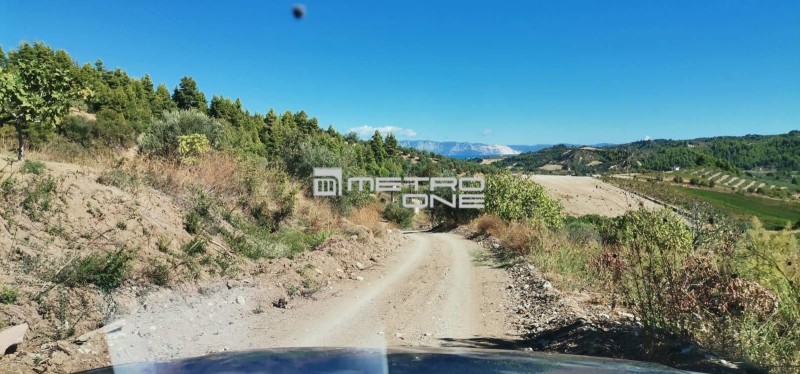 Αγροτεμάχια 12.000 τ.μ. προς πώληση, Καμάρια Ιστιαίας