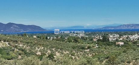 Parcel 12.000sqm for sale-Istiaia » Kamaria