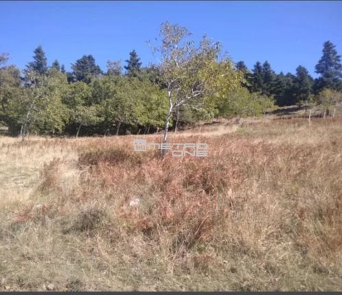 Αγροτεμάχια 4.121 τ.μ. για πώληση, Εύβοια, Αμάρυνθος
