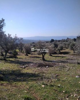 Parcel 3.700sqm for sale-Amarinthos » Gimno