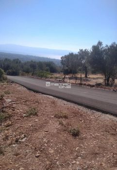 Parcel 5.004sqm for sale-Eretria » Agios Andreas