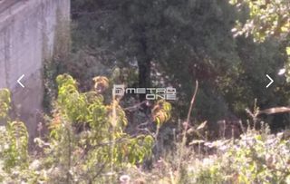 Οικόπεδο 297 τ.μ. για πώληση, Εύβοια, Αμάρυνθος-thumb-1