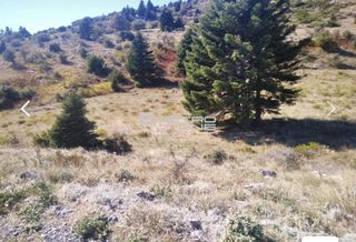 Αγροτεμάχια 2.016 τ.μ. για πώληση, Εύβοια, Αμάρυνθος-thumb-1