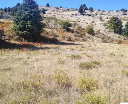 Parcel 2.016sqm for sale-Amarinthos » Kato Seta