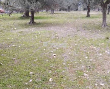Parcel 3.485sqm for sale-Amarinthos » Gimno