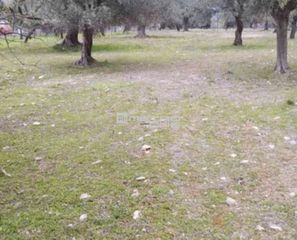 Αγροτεμάχια 3.485 τ.μ. για πώληση