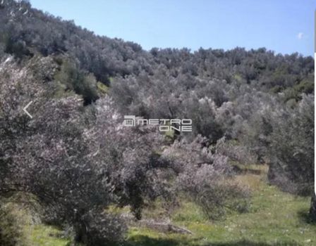 Parcel 5.233sqm for sale-Amarinthos » Gimno
