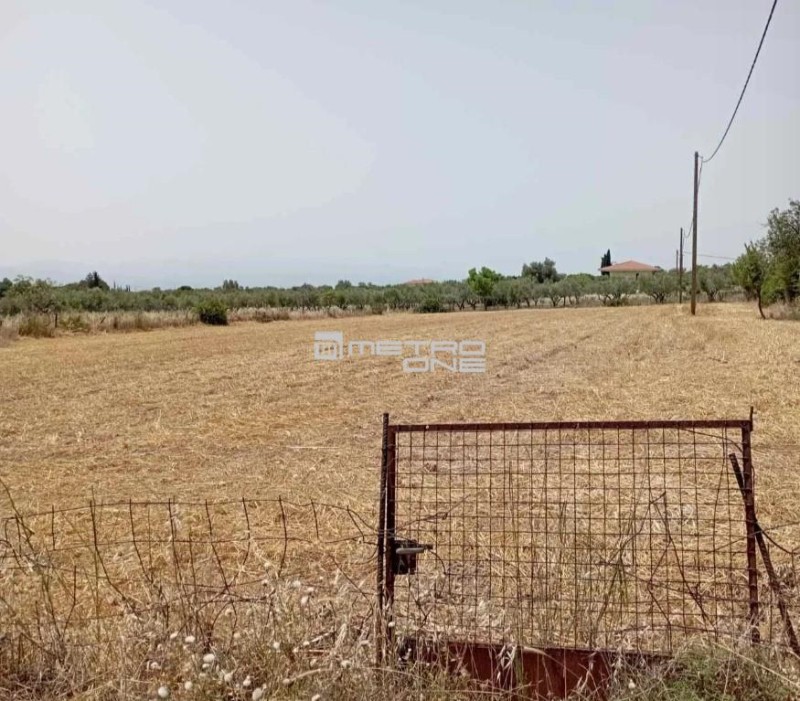 Οικόπεδο 3.016 τ.μ. προς πώληση, Γυμνό Αμαρύνθου