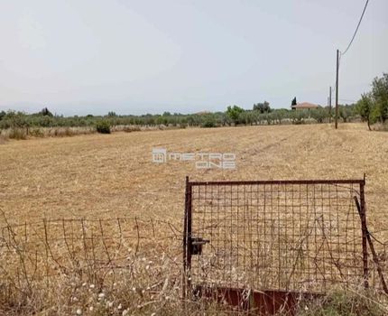 Parcel 3.584sqm for sale-Amarinthos » Gimno