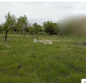Οικόπεδο 1.200τ.μ. για πώληση-Αμάρυνθος » Γυμνό