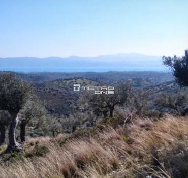 Parcel 3.700sqm for sale-Amarinthos » Gimno