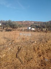 Αγροτεμάχια 4.000 τ.μ. προς πώληση, Χώρα Άνδρου-thumb-2