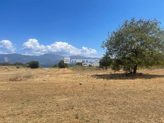 Αγροτεμάχια 65.000 τ.μ. για πώληση, Αχαΐα, Αίγιο-thumb-1