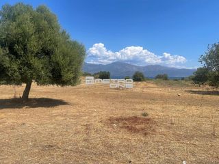 Αγροτεμάχια 65.000 τ.μ. για πώληση, Αχαΐα, Αίγιο-thumb-2