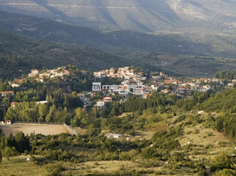Μονοκατοικία 150 τ.μ. προς πώληση, Κορώνεια Βοιωτίας