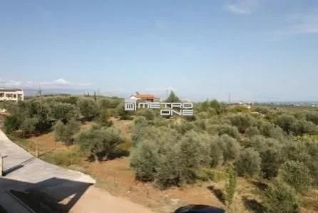 Land plot 4.100sqm for sale-Aigio » Center