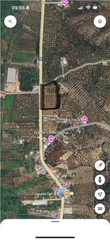 Οικόπεδο 8.531,14τ.μ. για πώληση-Μεθώνη » Νεραντζιές