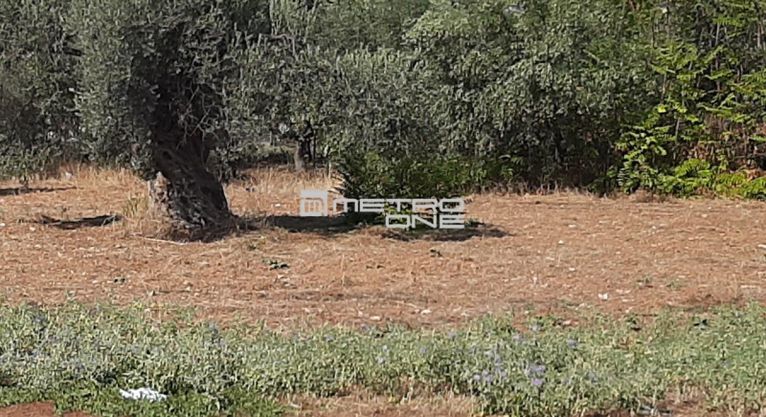 Land plot 795 sqm for sale, Athens - East, Paiania
