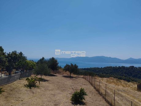 Μονοκατοικία 163 τ.μ. για πώληση