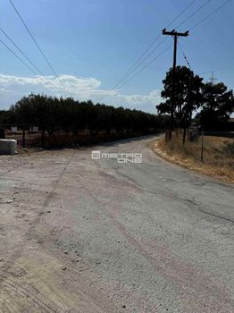 Αγροτεμάχια 20.000τ.μ. για πώληση-Κόρινθος » Κέντρο