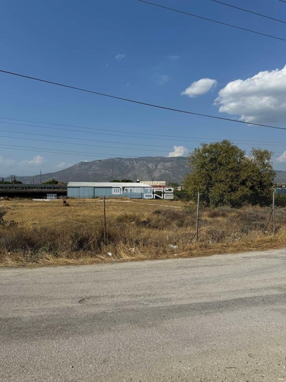 Αγροτεμάχια 20.000 τ.μ. προς πώληση, Κέντρο Κορίνθου