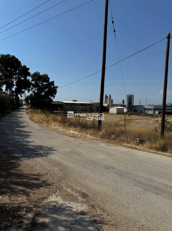 Αγροτεμάχια 20.000 τ.μ. προς πώληση, Κέντρο Κορίνθου
