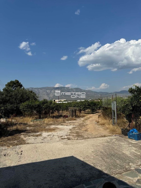 Αγροτεμάχια 20.000 τ.μ. προς πώληση, Κέντρο Κορίνθου
