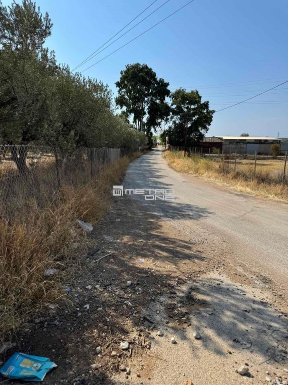 Αγροτεμάχια 20.000 τ.μ. προς πώληση, Κέντρο Κορίνθου