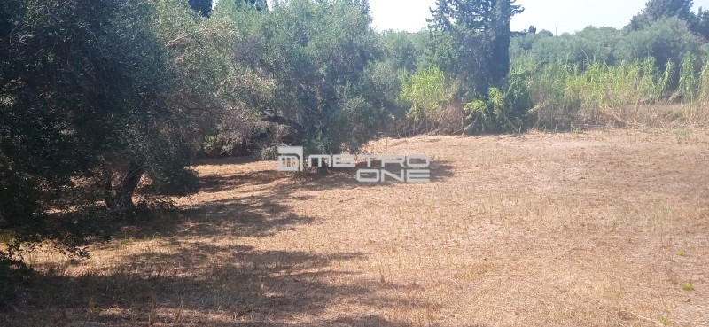 Οικόπεδο 7.228,34 τ.μ. πρός πώληση, Ν. Κέρκυρας, Κέρκυρα