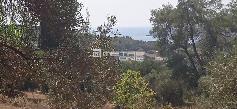 Οικόπεδο 7.228,34 τ.μ. πρός πώληση, Ν. Κέρκυρας, Κέρκυρα