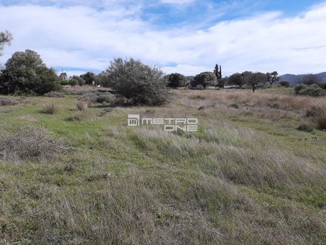 Industrial space 3.880sqm for sale-Keratea » Center