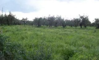 Οικόπεδο 500 τ.μ. για πώληση