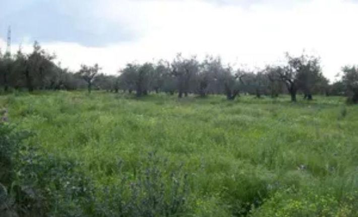 Οικόπεδο 500 τ.μ. για πώληση, Κορινθία, Κόρινθος